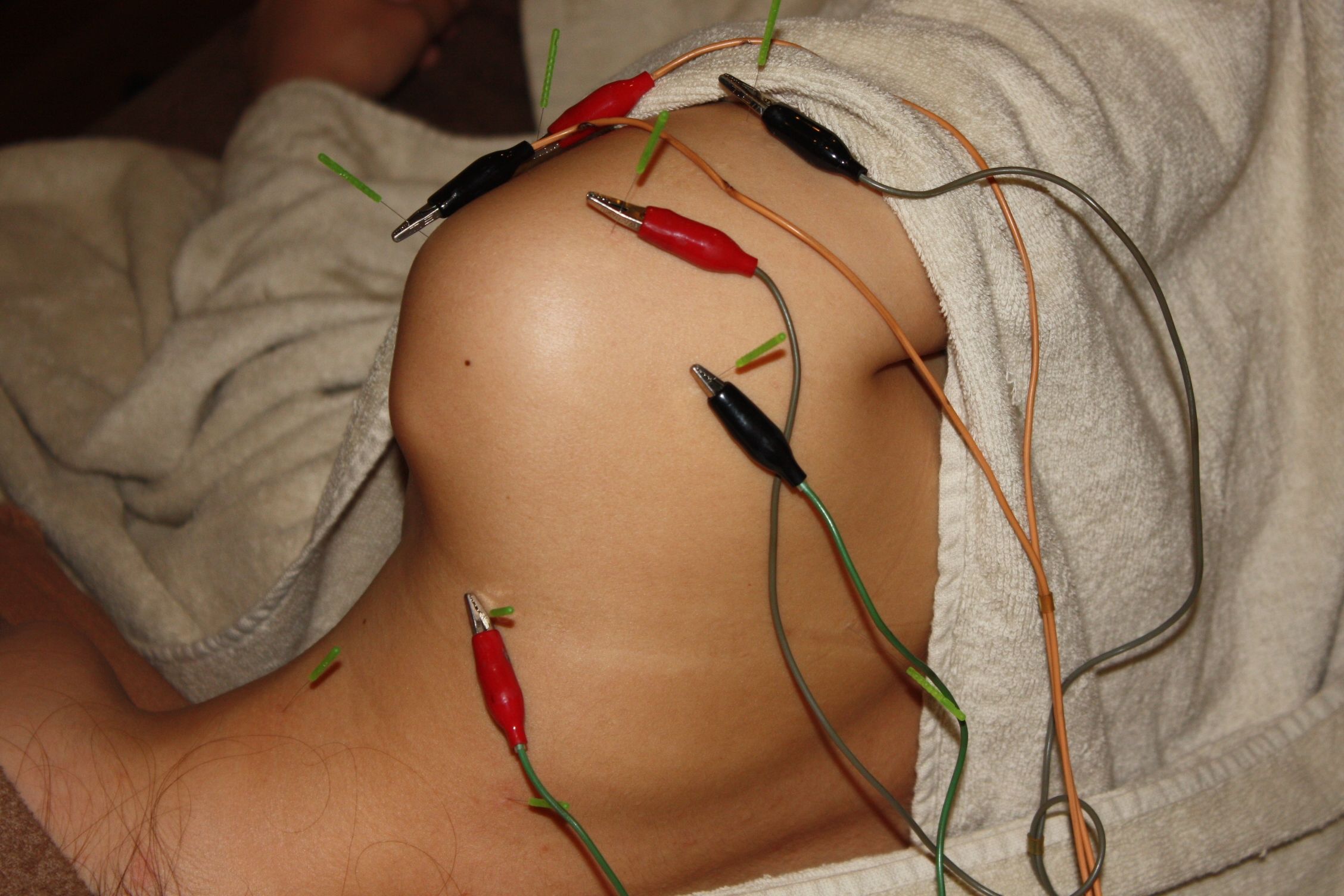 IMG_2559.JPG のコピー_3